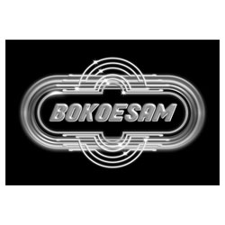 Let-Me-samenwerking-Bokoesam